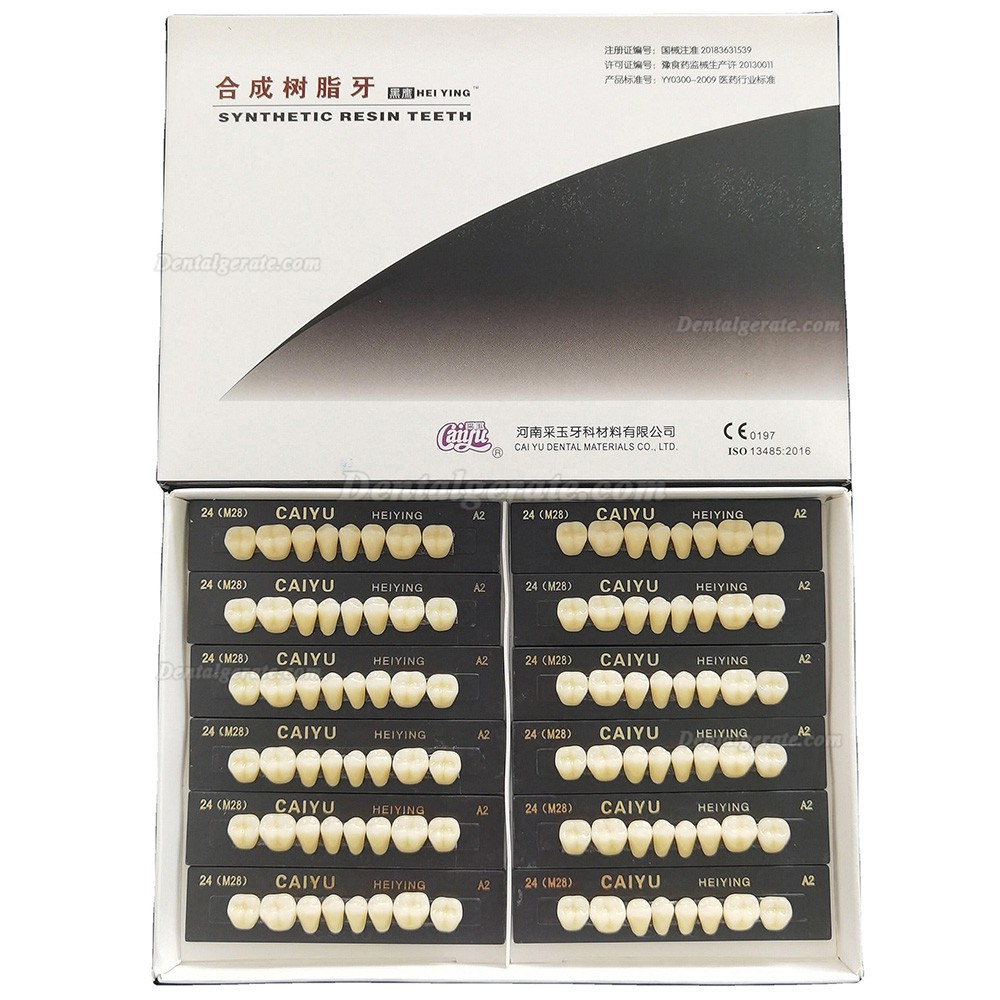 Caiyu Heiying Zahnprothese aus synthetischem Acrylpolymerharz (obere/untere Backenz&auml;hne)